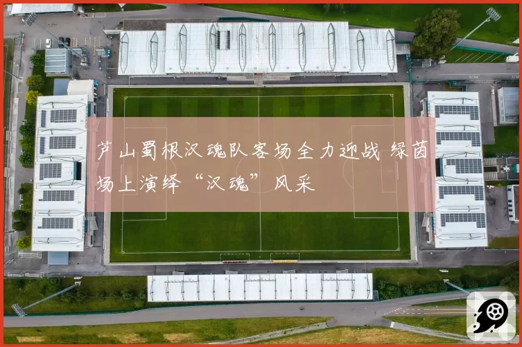 芦山蜀根汉魂队客场全力迎战 绿茵场上演绎“汉魂”风采