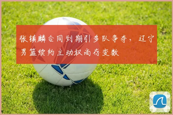 张镇麟合同到期引多队争夺,辽宁男篮续约主动权尚存变数