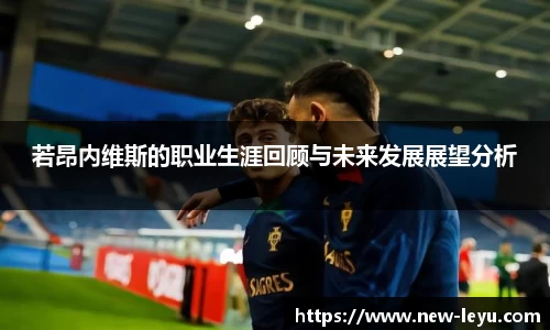 乐鱼体育官方网站